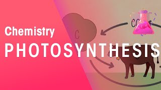 Photosynthesis amp Respiration  Reactions  Chemistry  FuseSchool [upl. by Gahan]