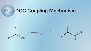 DCC Coupling Mechanism  Organic Chemistry [upl. by Elleral]