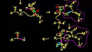 Preparation of amides using DCC  Organic chemistry  Khan Academy [upl. by Erbes76]