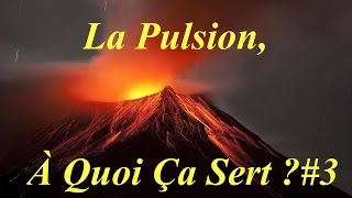 La Pulsion Ă€ Quoi Ă‡a Sert  Ă€QĂ‡S3  Psychologie [upl. by Grimonia]