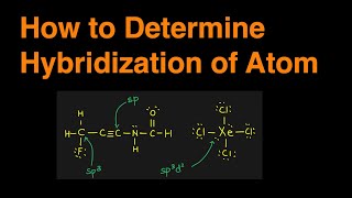 How to Determine the Hybridization of an Atom sp sp2 sp3 sp3d sp3d2 Practice Problem amp Example [upl. by Plume]