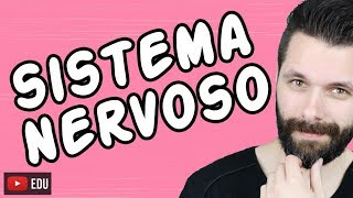 SISTEMA NERVOSO  FISIOLOGIA  Aula  Biologia com Samuel Cunha [upl. by Ahsiyt]