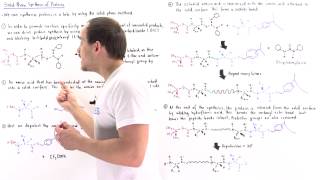 SolidPhase Synthesis of Proteins [upl. by Ayanad527]