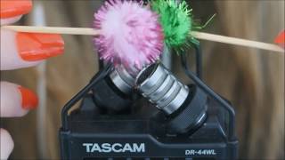 ASMR✨👂 Tascam DR44WL Ear Pampering👂✨ [upl. by Diamond]