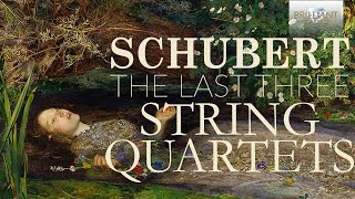 Schubert The Last Three String Quartets [upl. by Nireves]