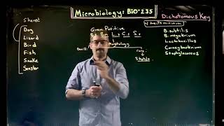 Making your Dichotomous Key [upl. by Neeroc]