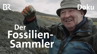 Fossiliensammler Auf der Schatzsuche nach Zeugnissen aus dem Erdinneren  Paläontologie  BR [upl. by Hanid]