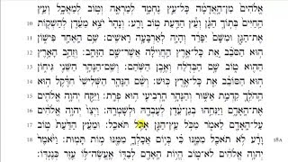 Torah Reading  Genesis Chapter 2 HD [upl. by Nnylannej]