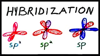 sp3 sp2 and sp Hybridization [upl. by Oab]