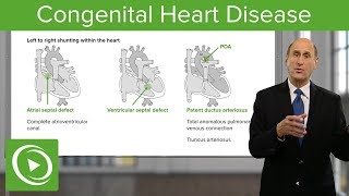 The Difference between Cardiology Specialties  Dr Eric Van De Graaff [upl. by Lorelie203]