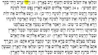 Torah Reading  Genesis Chapter 1 [upl. by Eceirahs488]