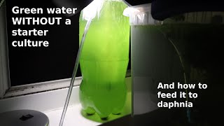 Green Water WITHOUT a Starter Culture  From Scratch  How To [upl. by Dudden474]