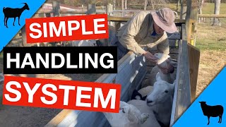 Goat and Sheep Handling System [upl. by Attekahs466]