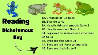 How to use a Dichotomous Key [upl. by Merlin]